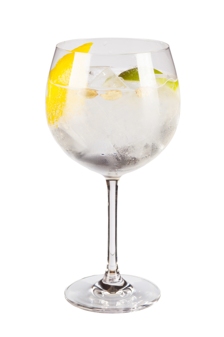 Gin Tônica